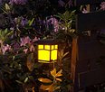Night Garden.jpg