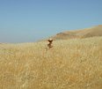 DSCN1464.JPG